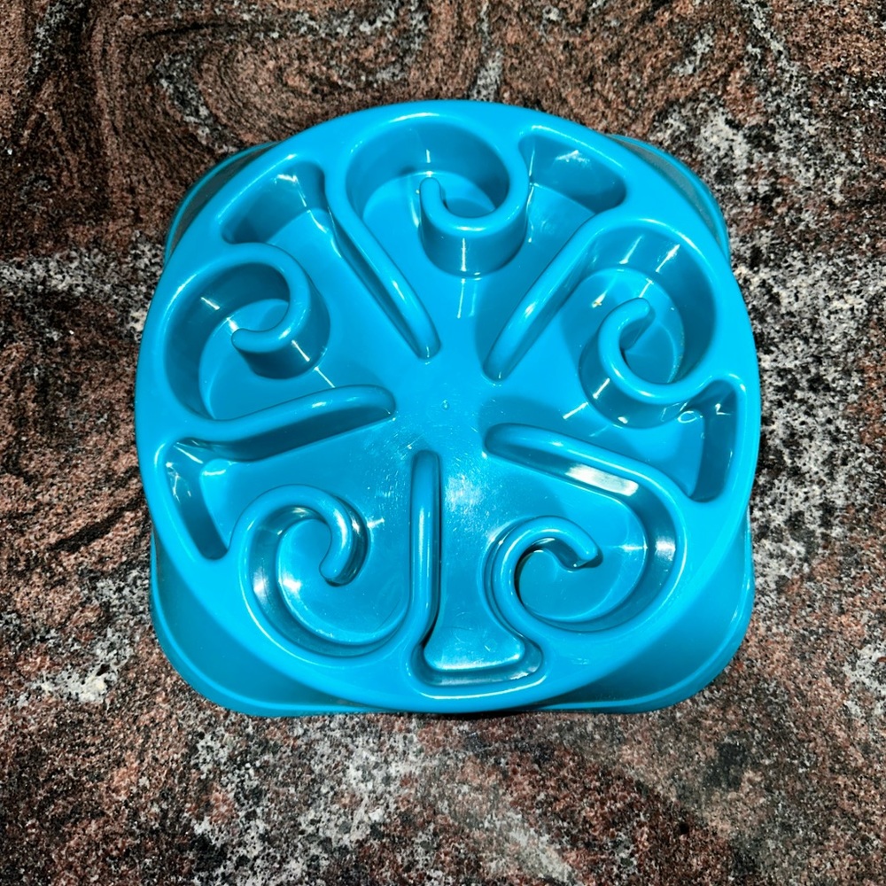 Pet slow feeder bowl- blue